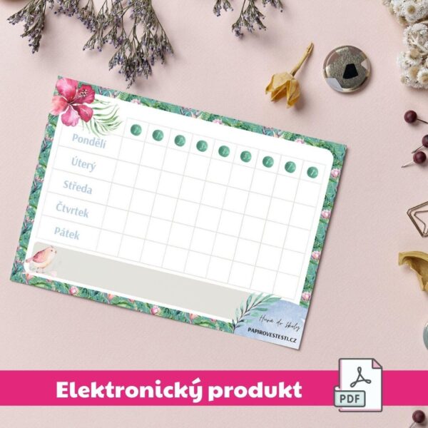 Školní rozvrh (pdf k tisku)